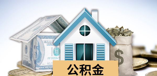 深入解析年化借款利率特点与影响